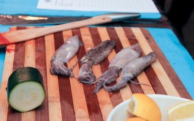 Warsztaty i pokazy kulinarne|Lubelskie|Ryby owoce morza|Studio kulinarne w Lublinie|Imprezy integracyjne dla firm instytucji publicznych|Kuchnia włoska restauracje|Dawid Furmanek bloger mEATing